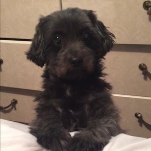 Meet your Posher, Denise